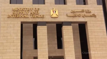 رسميًا.. سعر بيع الأسمنت للمستهلك على الشيكارة قرار جديد من التموين لضبط الأسواق 1